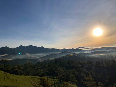 绿色的树木和山脉在日出
